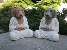 Mans Best Friend & Healing Infusions...WOOF!