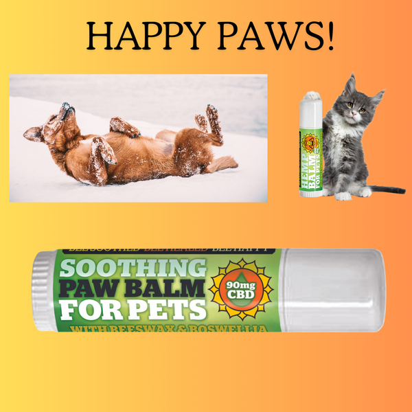 Soothing Paw Balm - CBD Hemp Pet Balm - Boswellia