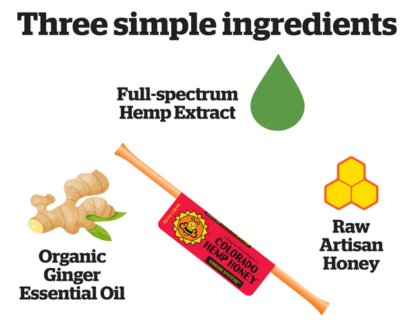 Essential Honey Stick Bundle - 30 sticks (10 x 3 flavors)