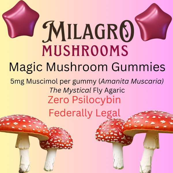 Amanita Muscaria Gummies - 5mg Muscimol Extract Each (mixed)