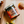 CBD Hemp Honey Jar - Tangerine Tranquility